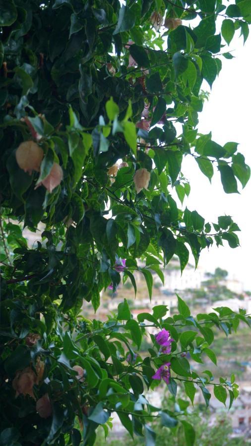 Casa de Férias Mariuccia House Amalfi